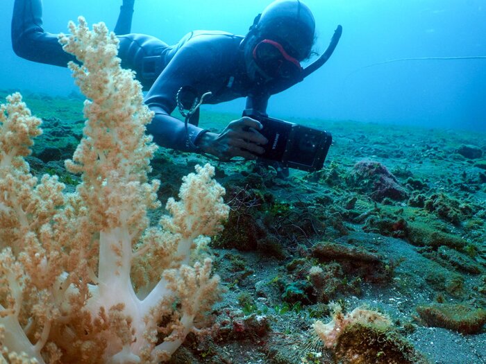 Macro diver photographing soft coral, Muck Diving Central, Alor