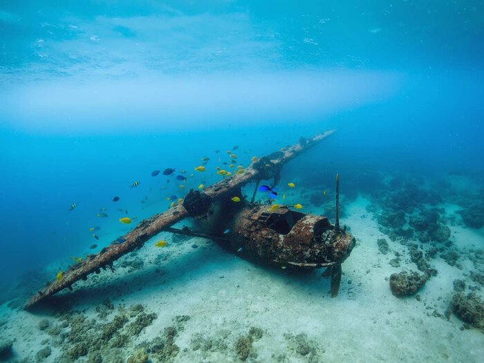 Sunken aircraft wreck on the reef, Scattered Reefs and Wrecks, Cenderawasih Bay
