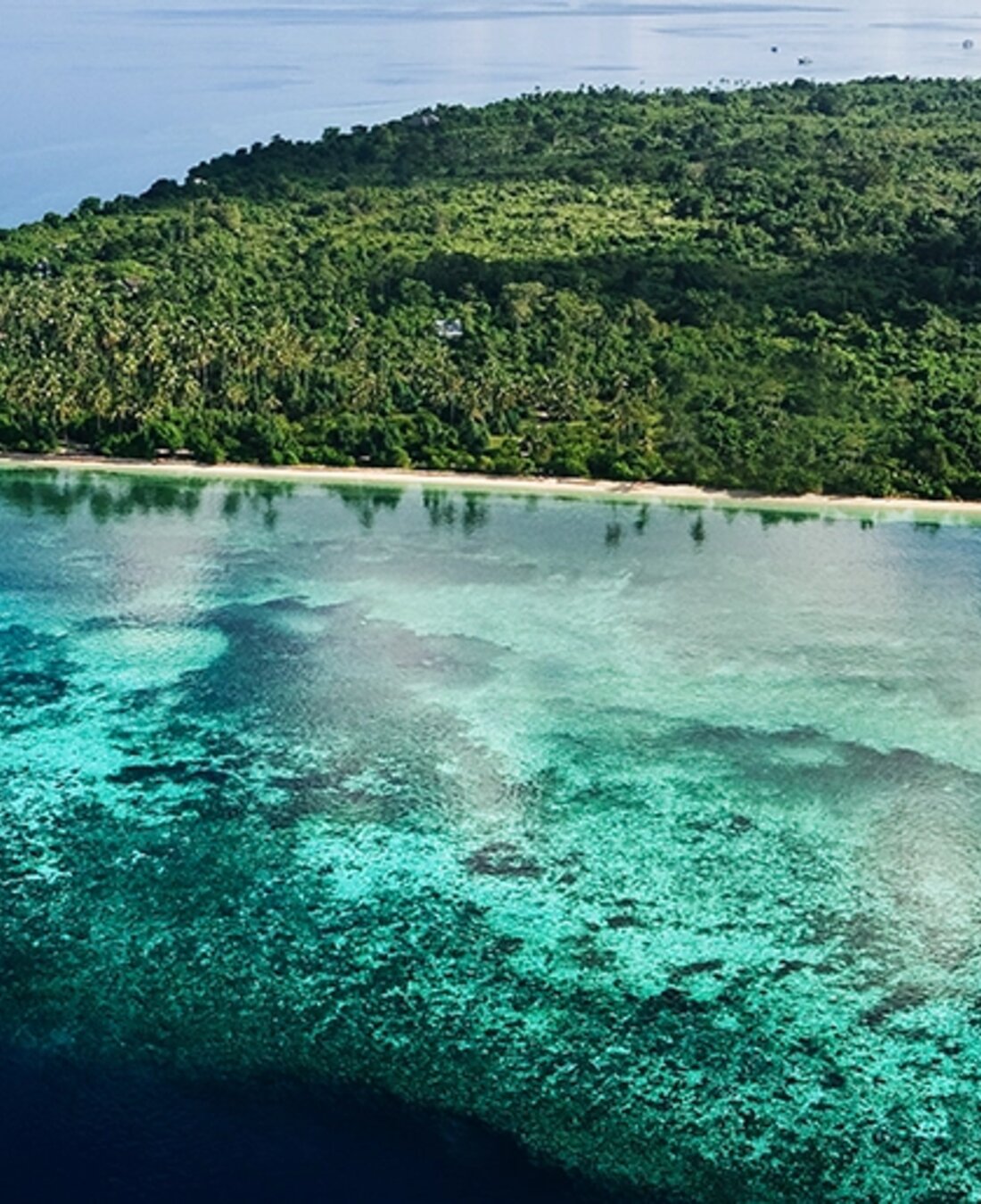Wakatobi