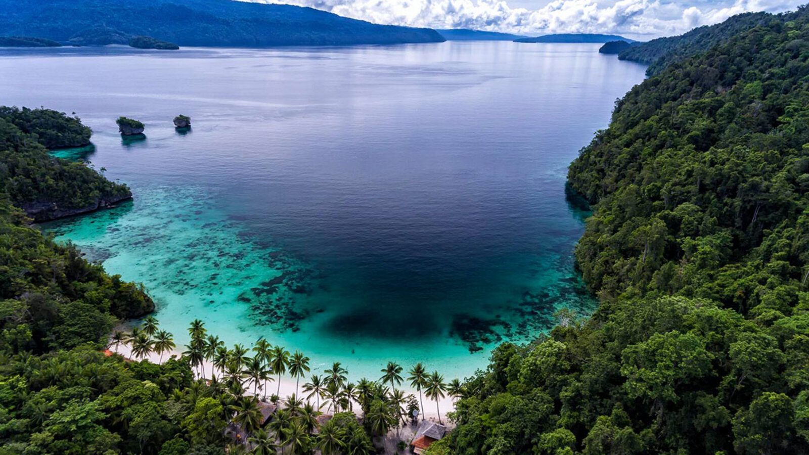 Aerial view of a palm-lined bay in the Banda Islands, Indonesia