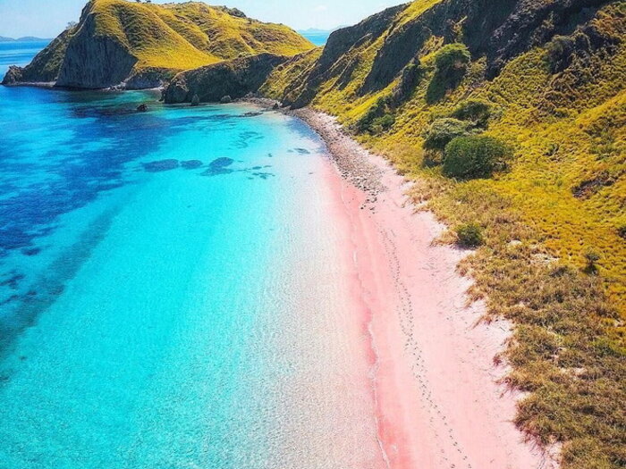 Pink sand beach, Komodo National Park, Indonesia