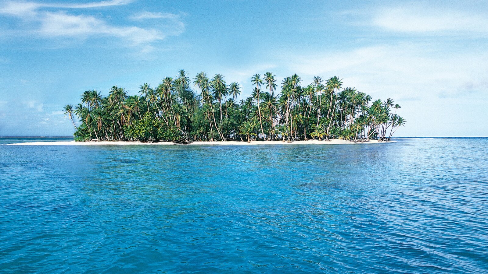 Small palm-covered island in Triton Bay, West Papua, Indonesia