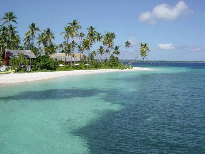 Palm-lined white sand beach, Bajau Villages, Wakatobi